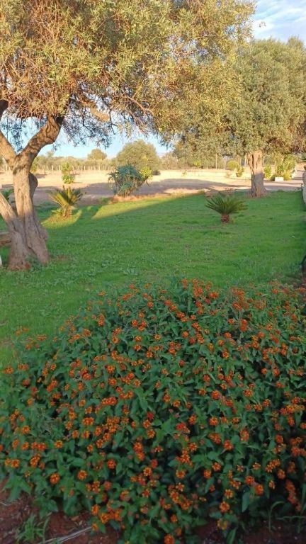 Villa Il Casale Colle San Pietro Santo Pietro  Esterno foto
